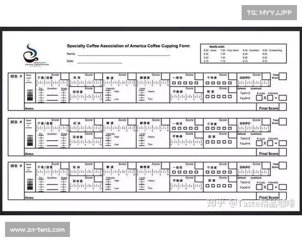 双人项目同步分评分标准解析：身体角度一致性